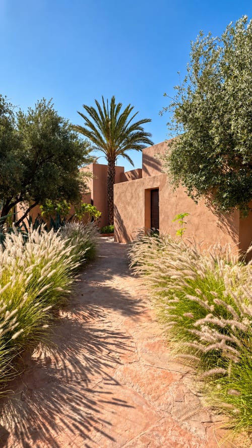 Allée en terre cuite bordée de graminées ornementales et de palmiers à l'hôtel-boutique Jardin Sakina à Marrakech