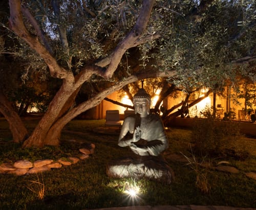 Statue de Bouddha illuminée la nuit sous un ancien olivier au jardin de l'hôtel-boutique Jardin Sakina, Marrakech