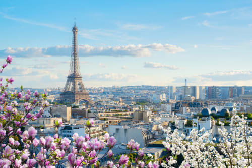 Vue de la Tour Eiffel et des toits de Paris avec fleurs de printemps depuis l'hôtel Sèvres