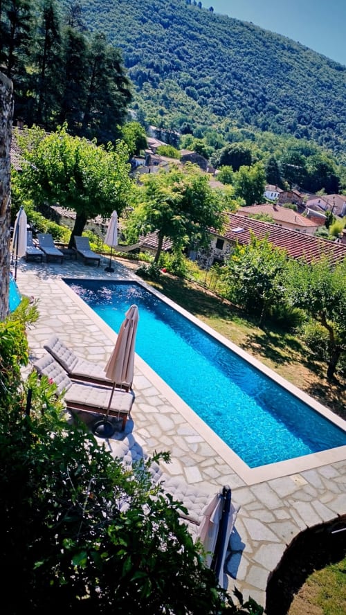 Rectangular swimming pool with loungers overlooking forested mountain landscape at South France gîte