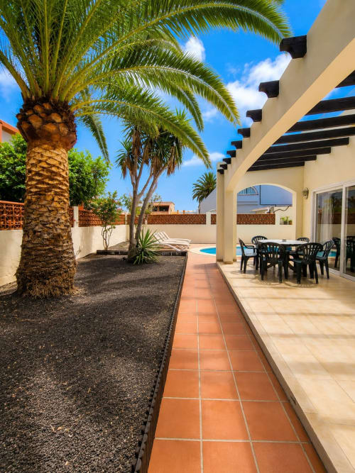 Patio de Villa Paloma con palmera, pérgola, zona de comedor y vista a la piscina en Corralejo