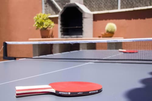 Tischtennis-Schläger und Netz in der Villa Sara & Gino Fuerteventura in Corralejo mit Terrasse und Topfpflanzen