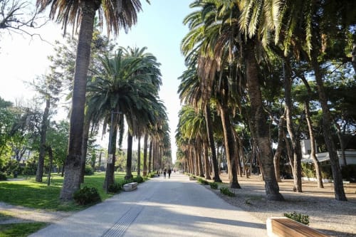 Passeggiata circondata da palme presso Le Rooms B&B in Italia, con ampio percorso pedonale e spazi verdi