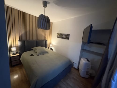 Udobna spavaća soba u Le Cocon De Notre Dame u Anecyju s krevetom, TV-om, visećom lampom i modernim sadržajima