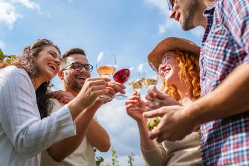 Amici che brindano con calici di vino in una vigna italiana, celebrando all'aperto sotto un cielo azzurro