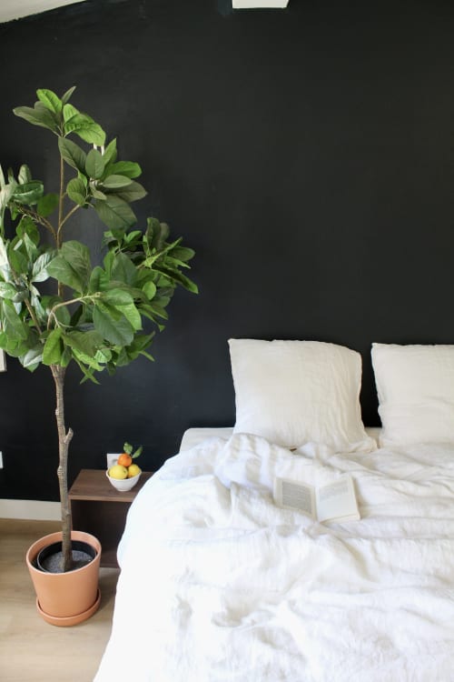 Chambre moderne à Mi Casa Es Su Casa, Carcassonne avec mur d'accent noir, literie blanche, plante en pot et livre ouvert sur le lit