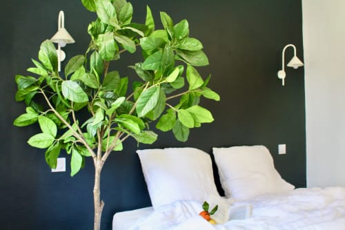 Chambre moderne à Mi Casa Es Su Casa à Carcassonne avec plante en pot, oreillers blancs et mur d'accent sombre