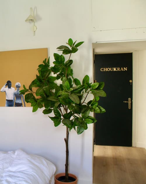 Plante en pot dans la Suite Choukran de l'hôtel Mi Casa Es Su Casa à Carcassonne, avec lit et porte noire visibles
