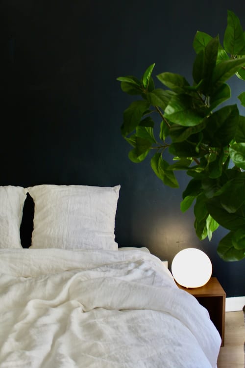 Chambre moderne avec literie blanche, mur bleu-vert foncé, plante en pot et lampe de chevet lumineuse à l'hôtel Mi Casa Es Su Casa