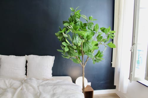 Plante en pot dans la suite Mi Casa Es Su Casa avec literie blanche et vue sur la ville de Carcassonne