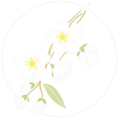 Délicates fleurs blanches aux cœurs jaunes et feuilles vertes, évoquant les amandiers de Le Clos des Amandiers en France