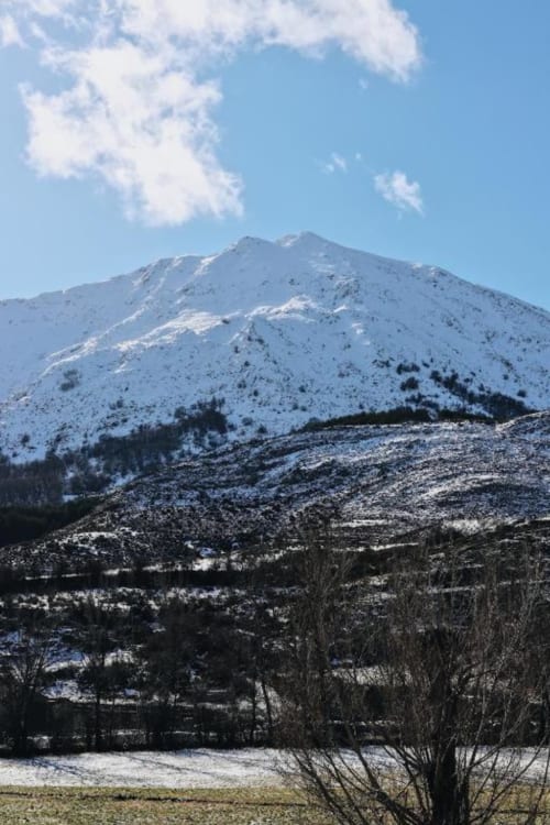 Paisaje montañoso cubierto de nieve con árboles de hoja perenne cerca de Alojamientos Montaña Leonesa en Cofiñal