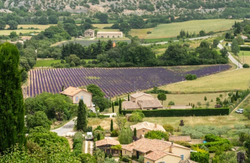 Le Clos des Amandiers, gîte à Simiane-la-Rotonde avec champs de lavande et vue sur la campagne provençale