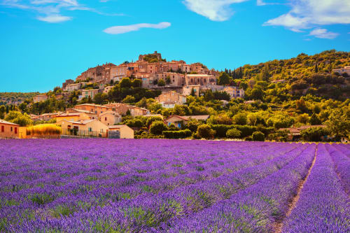 Champs de lavande violets avec le village de Simiane-la-Rotonde en terre cuite niché sur la colline sous un ciel bleu