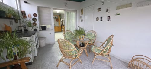 Luminosa sala de estar en Casa Amma con sillas de mimbre alrededor de una mesa, plantas y vista a la cocina en Bikarte Alojamientos, Monforte