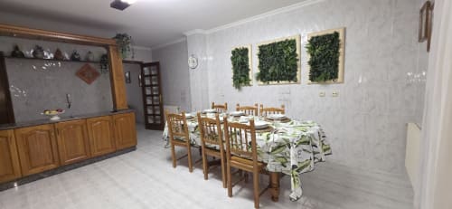 Comedor del apartamento Casa Amma en Bikarte Alojamientos, Monforte de Lemos, con mesa de madera, sillas y planta verde