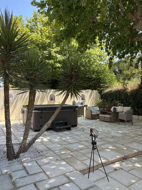 Terrasse du Mas Provençal avec bain à remous, espace détente, palmiers et dallage en pierre à Bollène