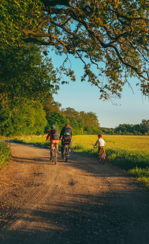 Familia en bicicleta en un camino de tierra bajo dosel arbóreo cerca de Casa Etxalde, Girona, España