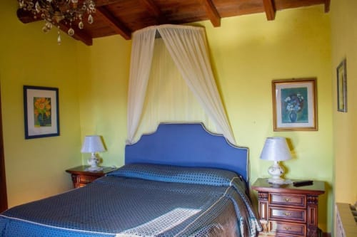 Camera Belvedere Sopra dell'Antico Belvedere B&B con letto a baldacchino blu, pareti gialle e vista sul giardino a Pieve Fosciana