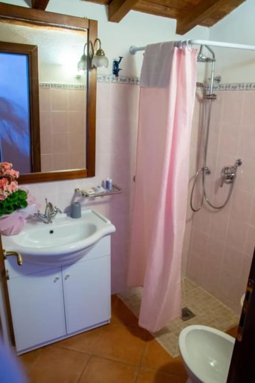 Bagno rosa con lavabo, specchio e tenda doccia presso l'Antico Belvedere B&B, Pieve Fosciana
