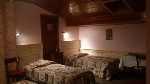 Chambre twin à l'Hôtel Les Fleurs à Morzine avec deux lits, têtes de lit en bois et décoration alpine rustique