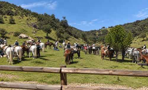 Grupo de jinetes reunido en pastura verde de ladera cerca de El descanso del peregrino en Guadalupe, Cáceres