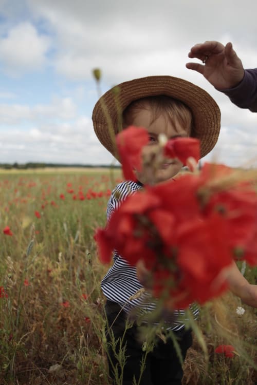 Enfant au chapeau de paille cueillant des coquelicots rouges dans un champ près des gîtes de Cormenin, Saint-Hilaire-sur-Puiseaux