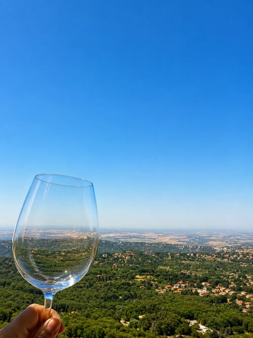 Calice di vino alzato verso la vista panoramica della campagna di Rocca di Papa con colline verdi ondulate e villaggi lontani