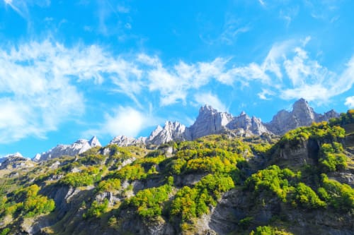 Pics rocheux dramatiques et forêt verte luxuriante à Morzine, Alpes françaises près de l'Hôtel Les Fleurs