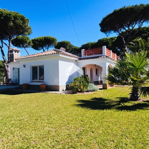 Villa mediterránea blanca de Barrosa con tejado de barro, jardín impecable y árboles maduros en España