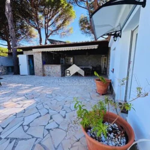 Patio interior de Barrosa Home con solado de piedra, plantas en macetas, construcciones blancas y árboles altos bajo un cielo azul