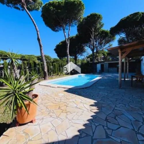 Patio junto a la piscina de Barrosa Home con piscina azul, pinos mediterráneos y maceta de terracota en España