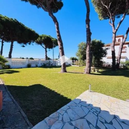 Jardín de Barrosa Home con altos pinos, césped manicurado, edificio blanco y camino de piedra azul bajo cielo despejado