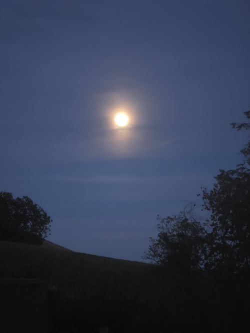 Full moon rising over silhouetted trees and hills at Ailwood Farm Stay in Dorset