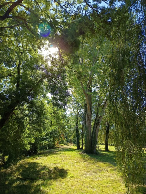 Tree-lined pathway with lush green grass at Le Jardin de la Reyssouze, a peaceful garden retreat in Gorrevod, France