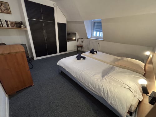 Studio spacieux à Luxeuil-les-Bains avec lit double, armoire, fenêtre de toit et équipements modernes