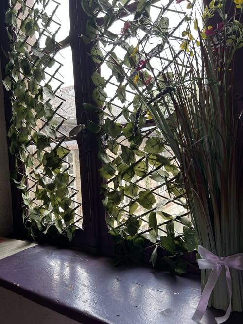 Plantes grimpantes et fleurs sur treillis à la fenêtre d'un studio à Luxeuil-les-Bains avec vue sur la ville