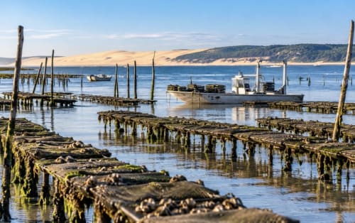 Coastal harbor with wooden pilings, fishing boats, and moss-covered rocks near Saint-Émilion