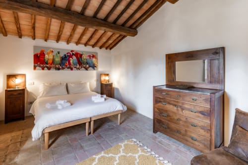 Camera da letto dell'appartamento Appaloosa a Buonconvento con travi in legno, quadri di pappagalli colorati e mobili rustici con vista