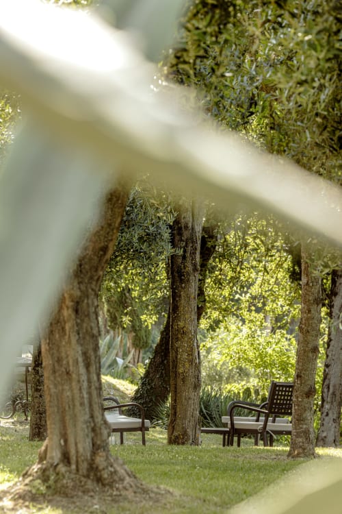 Zona relax in giardino ombroso con alberi ricoperti di muschio e sedute presso l'hotel Quarantallina, Buonconvento