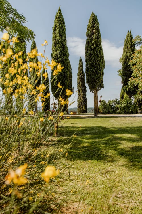 Giardino toscano con alti cipressi e fiori gialli presso l'hotel Quarantallina a Buonconvento, Italia
