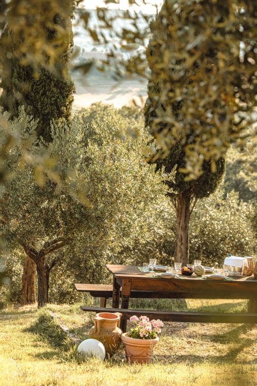 Tavolo in legno rustico per cena esterna tra gli ulivi dell'hotel Quarantallina a Buonconvento, Toscana