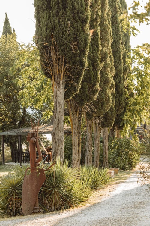Viale di una rustica villa toscana con alti cipressi, antica pompa idrica e vegetazione rigogliosa vicino a Buonconvento