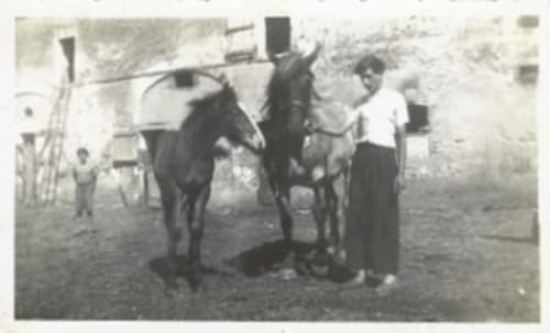 Scène vintage avec chevaux au Château de Ribourdin, gîte de charme à Chevannes