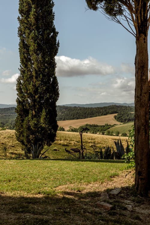 Vista della campagna toscana dall'hotel Quarantallina con cipresso, colline ondulate e campi vicino a Buonconvento