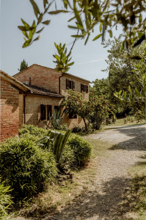 Rustico hotel in pietra con orto mediterraneo con ulivi e piante grasse a Buonconvento, Italia
