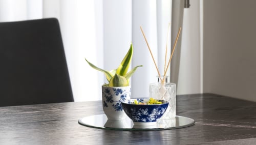 Elegante scrivania presso la Corte Livia B&B con succulenta in vaso, ciotole blu decorative e diffusore di fragranza a Forlì