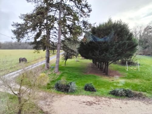 Tree-lined driveway at Ferme de Lereau with manicured gardens, open fields, and stone fence in Vallières-les-Grandes