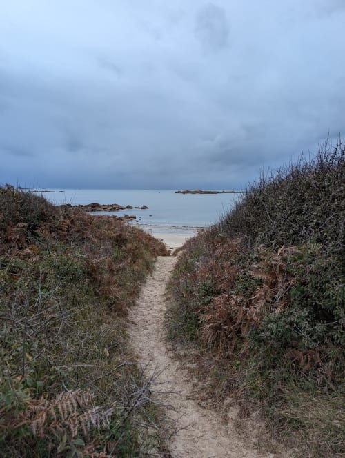 Chemin de sable à travers la végétation dunaire menant à la plage du Gîte de Ker Huon, Runan, France
