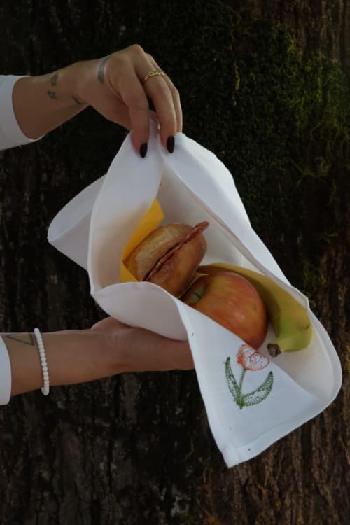 Mano che regge un tovagliolo bianco con frutta e panino da La Casa dei Tigli, Cannara